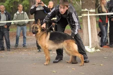 lpYqiOoG2xw.webp