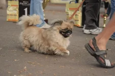yKr4cVLw8hY.webp