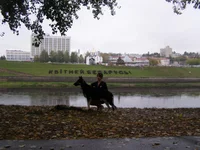 P9220284.webp