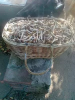 24092012046.jpg