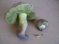 DSC08745.jpg