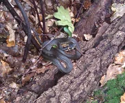 IMAG0273.jpg