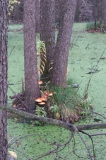 IMAG0280.jpg