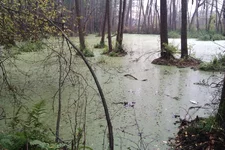 IMAG0277.jpg