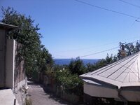 IMG00011.jpg