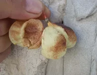 орех 1.webp орех 1.webp