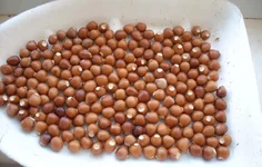 орех 2.webp орех 2.webp