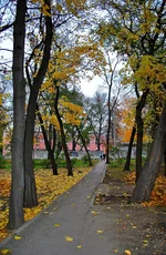  парк_1.webp
