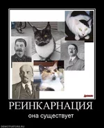 .webp