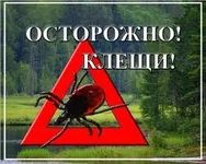 _клещ.webp _клещ.webp