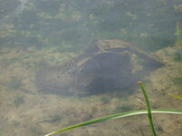 DSC04224.jpg