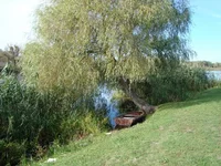 DSC04231.webp