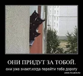 .webp