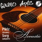 Guano Apes Acoustic Cover.jpg