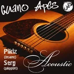 Guano Apes Acoustic Cover.webp