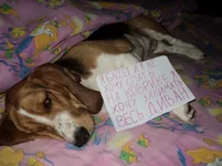 c1b3726f26bd920dcc925a3279926dd7.webp c1b3726f26bd920dcc925a3279926dd7.webp