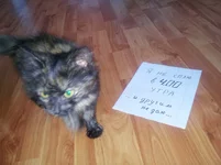 6dfe039d94af8269be7b0749eca20528.webp 6dfe039d94af8269be7b0749eca20528.webp