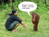 .webp