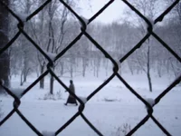 DSC03209_00.webp