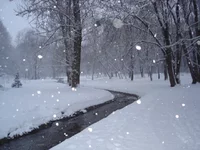 DSC03223_00.webp