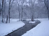 DSC03232_00.webp