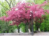 Resize90.webp Resize90.webp