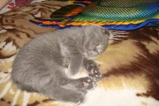 DSC04216.JPG