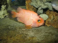 IMG_3336.webp