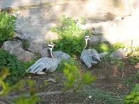 IMG_3424.webp