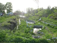 IMG_3400.webp