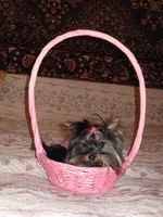 IMG_1108.webp