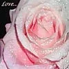 4f3d97f4fee1765f3ed8e81b313a93d0.webp