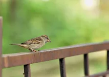 DSC_6110_A4_flipped.webp