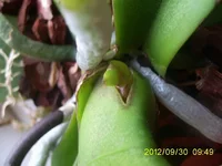 PIC_2010.JPG