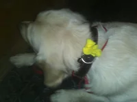 IMG157.webp