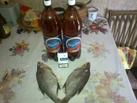 06102012022.webp