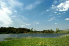 IMG_3493.webp
