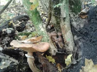 2012-10-06 10.58.51.webp