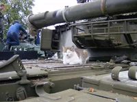 24.08.2012 029.webp
