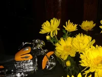 2012-10-07 21.18.07_50.webp