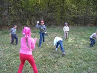  595.webp