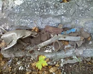 2012г.10.07. (7).webp