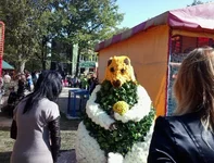 2012-10-07 11.41.27.webp