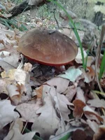 2012-10-07 16.49.09.webp