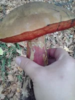 2012-10-07 16.50.38.webp