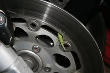 IMG_3754.webp