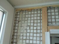 DSC01914.jpg