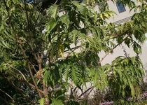  005.webp