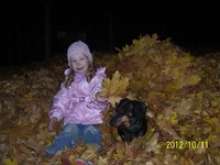 101_2549.webp
