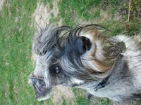 2012-04-26 07.58.02.jpg